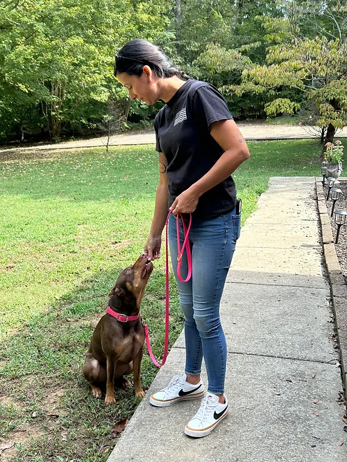 Leash Walking and Place Command